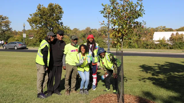 A group of people standing around a newly planted tree.