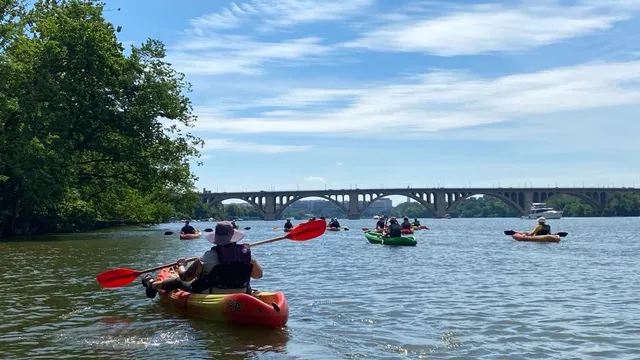 Several people paddle on kayaks on a river with a bridge in the background